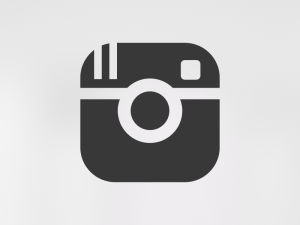 instagram-logo-white-vector